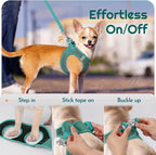 Eagloo Small Dog Harness and Leash Set, Step in Small Sized Puppy Pet Vest | Light, Soft, Breathable Air Mesh, Easy on and off with Hook & Loop, Reflective for Safe Walking, Forest Green, XS
