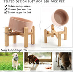 Petygooing Khaki Raised/Elevated 15°Slanted Ceramic Dog Bowl for Small Breeds,Tilted Anti Slip Pet Feeding Bowl,Food Water Dish with Stand for Cats and Small Dogs Puppy 13.5 OZ (5.1In / 1.7 Cups)