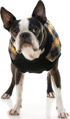 Gooby Fashion Vest Check Dog Jacket - Yellow Check, X-Large - Warm Zip Up Dog Bomber Vest with Dual D Ring Leash Water Resistant for Small to Medium Dogs