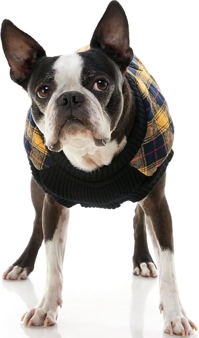 Gooby Fashion Vest Check Dog Jacket - Yellow Check, Medium - Warm Zip Up Dog Bomber Vest with Dual D Ring Leash Water Resistant for Small to Medium Dogs