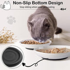WROSWT Cat Food Bowl,Healthy Ceramic Cat Bowls for Indoor Cats,Anti Whisker Fatigue Cats Dishes Set,Shallow Wide Kitten Plates for Food and Water,Non-Slip Silicone Bottom,3 Pack