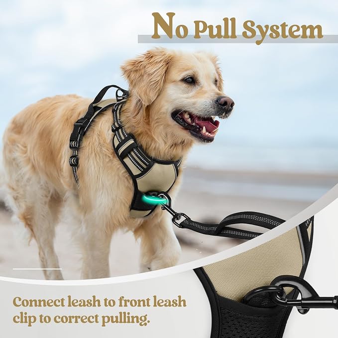 rabbitgoo Dog Harness, No Pull for Small Dogs with 2 Leash Clips, Pet Vest | No Choke with Handle, Adjustable Soft Padded, Reflective, Easy Control for Walking, Beige, Small