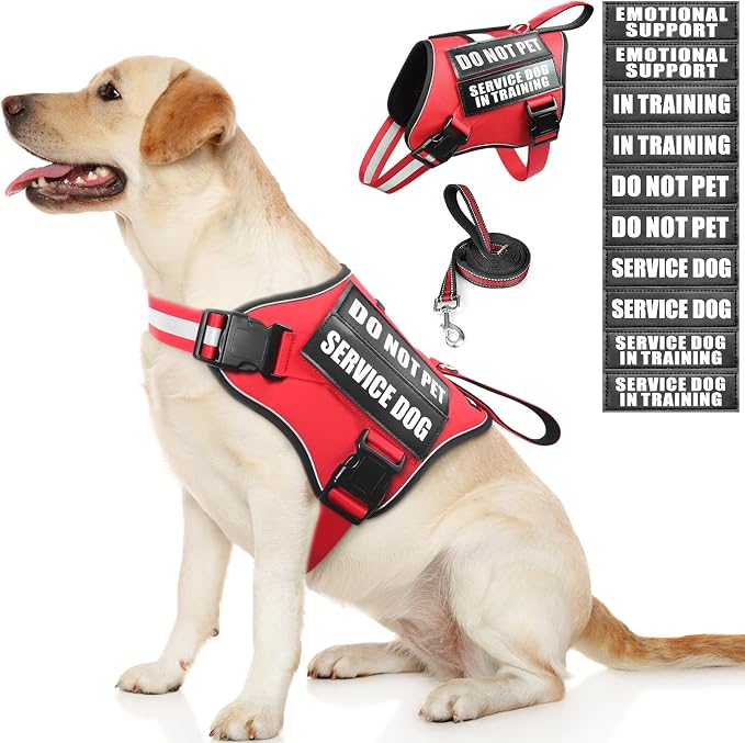 Service Dog Vest Harness and Leash Set+10 Patches,Easy On Off Red L | No Pull&Adjustable Reflective Dog Harness Large Sized,Dog Leash with 2 Soft Padded Handles,for Training Hiking Walking