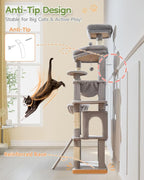 Taoqimiao Cat Tree for Large Cats, 72In Tall Cat Tower, Giant Platform | Widened Cat Condo with Large Scratch Board, 5 Scratching Posts, Metal Frame Hammcock, Cozy Basket, Light Gray, MS045W