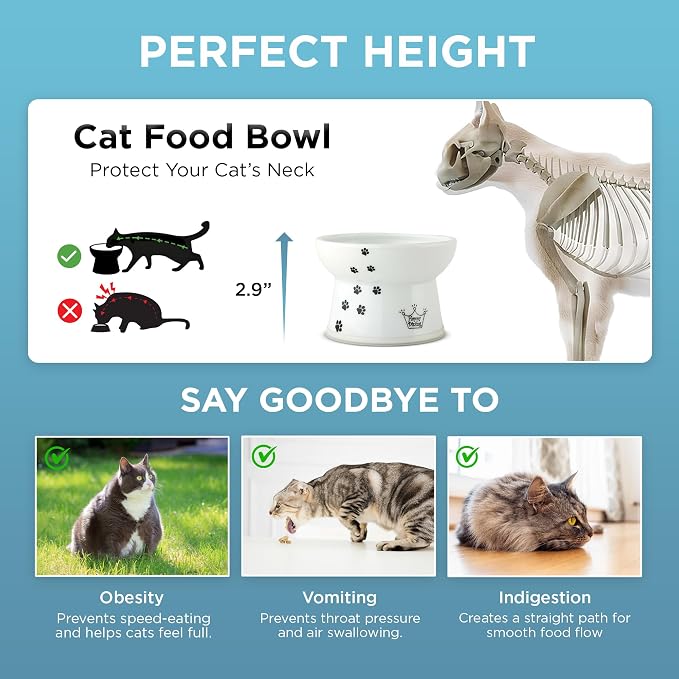 Necoichi Ceramic Elevated Cat Food Bowl, Whisker-Friendly (Cats, Regular)