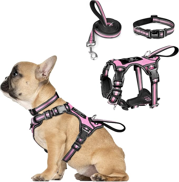 WINSEE Pet Harness Collar and Leash Set, All-in-one Reflective Dog Harness No Pull with Adjustable Buckles for Puppies, Small, Medium, Large, and Extra-Large Dogs (Small, Pink)