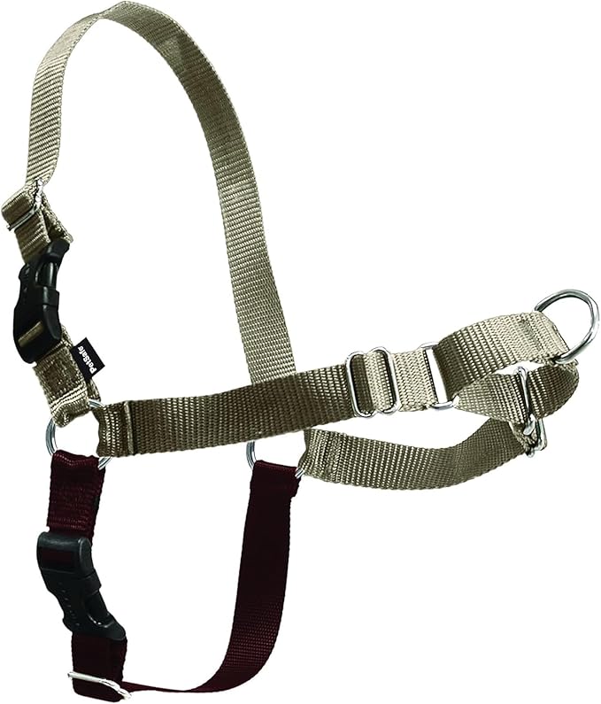 PetSafe Easy Walk Harness for Dogs - Pull-Free Walks - Patented Martingale Loop Design - Front Chest Leash Attachment - Comfort Straps - Breathable Harness Design - Large, Fawn/Brown
