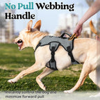 rabbitgoo Escape Proof Dog Harness for Medium, No Pull with Lift Handle | No Escape, Full Soft Padded, Reflective Adjustable Vest, Leash Clip for Walking Hiking Training, Grey, Medium