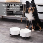 32 oz Ceramic Dog Bowls with Metal Stand, 6 Inch Pet Food and Water Dish | Bowl Dishwasher and Microwave Safe, 2 Heights, for Cats & Dogs, Prevent Neck Fatigue, White