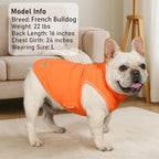 KYEESE 2Pack Dog Sweater Turtleneck Dog Sweaters for Small Dogs Male Stretchy Dogs Clothes Soft Pets Clothes Pullover Pet Sweatshirt Warm Pets Coats Small Pet Sweaters
