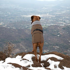 Lelepet Dog Coats for Large Dogs Waterproof Dog Jacket with Adjustable Fit | Reflective Winter Coat Pet Fleece Vest Windproof Cold Weather Coats with Adjustable Buckle & Leash Hole, Brown, XXL