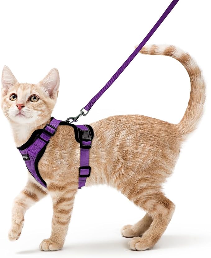 rabbitgoo Cat Harness and Leash Set, Escape Proof Vest, Purple | Soft Breathable Mesh, Easy Adjustable Fit, Snap Buckles, Sturdy Clip, Reflective Strips, for Average Cats Walks, S