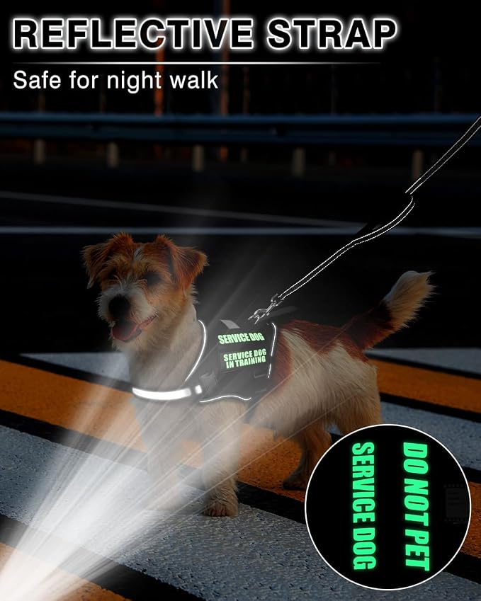 Service Dog Vest Harness and Leash Set+10 Patches for Puppy Small Dogs,Do Not Pet Emotional Support Dog Vest with 2 Soft Padded Handle for Everyday/Training (Black XS) | Adjustable Reflective Do Not Pet Emotional Support Dog Vest with 2 Soft Padded Han...