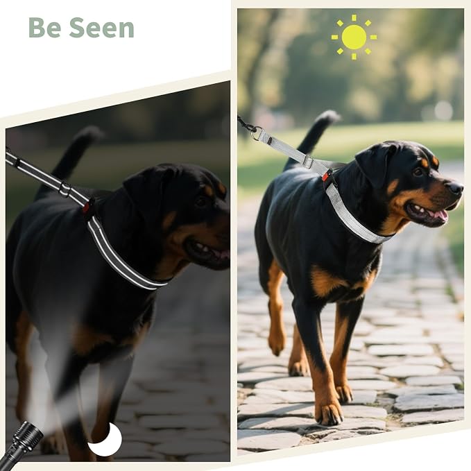 Mayerzon Martingale No Pull Collar for Medium Large Dogs | Grey, L | Patented Anti Pull Dog Collar with Buckle for Walking Training, Reflective Stitching, Neoprene Padding, Adjustable, Sturdy
