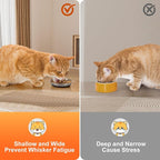 4 Pcs Stainless Steel Cat Bowls for Cats, Kittens & Small Dogs | Shallow Wide Food Water Bowl, Non-Slip Silicone Base, Dishwasher Safe, Suitable for Indoor & Outdoor Use