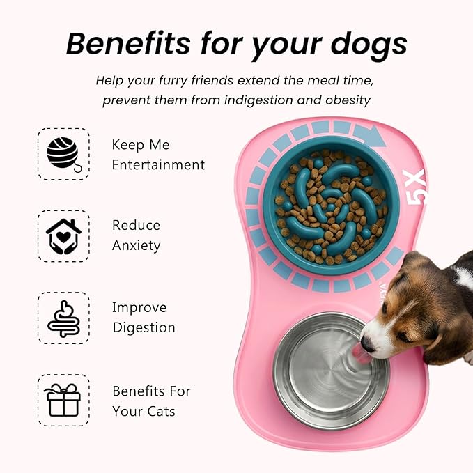 YINEYA 3 in 1 Slow Feeder Dog Bowls,Dog Water Bowl,Cat and Dog Food Bowl | Stainless Steel Dog Bowls with Non-Spill Dog Bowl Mat, Anti-Choking Puppy Bowls, Easy Clean for Large Medium Small Dogs Cats