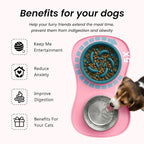 YINEYA 3 in 1 Slow Feeder Dog Bowls,Dog Water Bowl,Cat and Dog Food Bowl | Stainless Steel Dog Bowls with Non-Spill Dog Bowl Mat, Anti-Choking Puppy Bowls, Easy Clean for Large Medium Small Dogs Cats