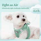 rabbitgoo Dog Harness Small Sized and Leash Set, Step-in Puppy Pet Vest | Light, Soft, Breathable Air Mesh, Easy on and Remove with Hook & Loop, Secure Reflective for Walking, Moss Green S