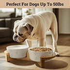 Ceramic Dog Bowl Set of 2, Anti-Skid Bamboo Stand, Elevated, 3.8 Cups Each | Thick Ceramic Food and Water Bowls Set of 2, Dishwasher Safe, Anti-Skid Rubber Base, 3.8 Cups per Bowl, Sturdy Bamboo Stand