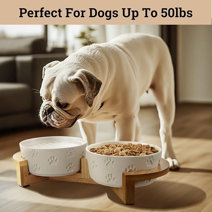 Ceramic Dog Bowl Set of 2, Anti-Skid Bamboo Stand, Elevated, 3.8 Cups Each | Thick Ceramic Food and Water Bowls Set of 2, Dishwasher Safe, Anti-Skid Rubber Base, 3.8 Cups per Bowl, Sturdy Bamboo Stand