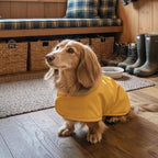 Dachshund Raincoat - Waterproof & Windproof Dog Jacket for Long Weiner Dogs, Adjustable Fit, Harness Hole - Yellow, Large