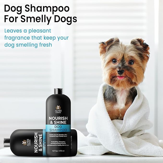 Dog Shampoo and Conditioner Set with Biotin, Rosemary & Lavender (16 fl oz) | Detangles, Deodorizes & Moisturizes for All Breeds & Puppies | Suitable for Itchy, Dry & Sensitive Skin | ALFIE'S CHOICE