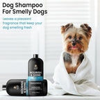Dog Shampoo and Conditioner Set with Biotin, Rosemary & Lavender (16 fl oz) | Detangles, Deodorizes & Moisturizes for All Breeds & Puppies | Suitable for Itchy, Dry & Sensitive Skin | ALFIE'S CHOICE