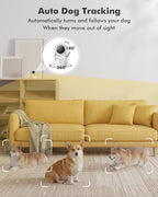 Dzees 2K Indoor Security Cameras, 360° WiFi Pet Camera, 2-Pack | Phone app, 5GHz and 2.4GHz WiFi, wired design, 2-way audio, motion tracking, night vision