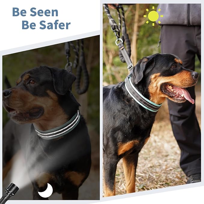 Mayerzon Martingale No Pull Collar for Medium Large Dogs | Teal Trim, L | Patented Anti Pull Dog Collar with Buckle for Walking Training, Neoprene Padding, Reflective Stitching, Adjustable, Sturdy