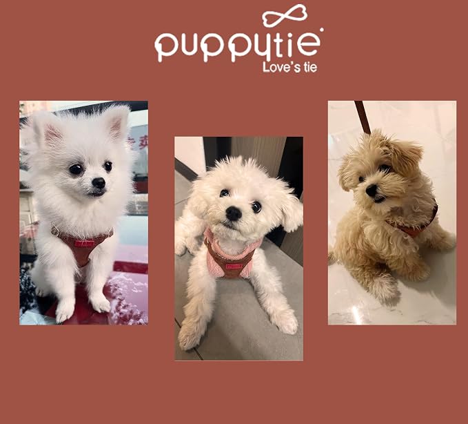 Puppytie Small Dog Harness and Leash Set, Brown Caramel, S (9-17.5 lbs) | Dog Harness Small Sized Dog, Dog Leash for Small Dogs, Soft and Lightweight, Puppytie Dog Harness for Daily Walks