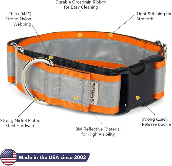 If It Barks - 1.5" Reflective Martingale Collar with Quick Snap Buckle for Dogs - Adjustable - Made in USA - Strong, Durable, and Comfy - Ideal for Training - Fits Most Breeds - Small, Orange