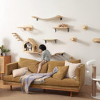 FUKUMARU Cat Wall Furniture Set, Transparent Capsule with 2 PCS Pedals | Kitten Walls Shelves, Premium Kitty Bed, For Sleeping, Playing, Climbing, Lounging, Holds Up to 35 Lbs