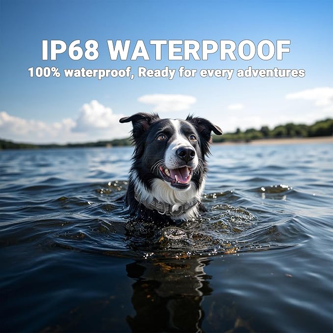 AirTag Dog Collar, IP68 Waterproof Integrated Air Tag Dog Collars with Reflective, Ultra-Durable, Comfortable Padded, Heavy Duty Dog Collars for Small Medium Large Dogs, S (10.6"-13.6"), Black