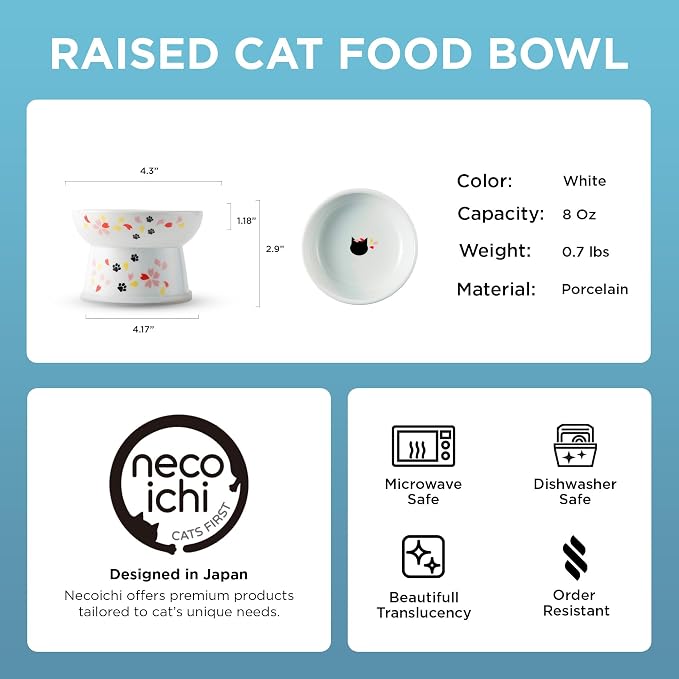 Necoichi Ceramic Elevated Cat Food Bowl (Sakura, Regular Flat)
