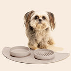 Slow Feeder Dog Bowls - Small Size Silicone Slow Eating Dog Bowl for Puppies & Dogs with Suction Cup -Dishwasher-Safe, Lick Mat Design, Reduces Gulping, for All Breeds, 6”x1.25”- Tan