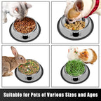 Serentive 2 Pcs Non-Slip Stainless Steel Small Cat Food Bowls - Unbreakable, Thicken 7 Oz Cat Dishes - Indoor, Removable Rubber Base, Easily Clean, Lovely Color