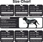 QBLEEV Warm Dog Jacket - Reflective, Adjustable Winter Coat with Turtleneck for Cold Weather, Waterproof Fleece Snowsuit for Small, Medium, Large Dogs