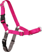 PetSafe Easy Walk No-Pull Dog Harness - Ultimate Harness to Help Stop Pulling - Pull-Free Walks - Take Control & Teach Better Leash Manners - Patented Martingale Loop Design - Raspberry, Small