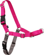 PetSafe Easy Walk No-Pull Dog Harness - Ultimate Harness to Help Stop Pulling - Pull-Free Walks - Take Control & Teach Better Leash Manners - Patented Martingale Loop Design - Raspberry, Medium/Large