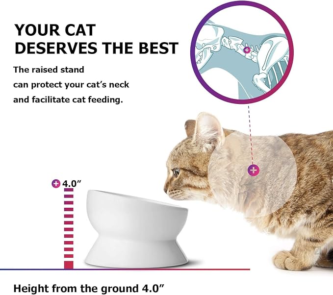 Y YHY Elevated Cat Food Bowl, Raised Food and Water Bowl for Cat and Small Dog, Tilted Ceramic Water Bowls No Spill,15oz, Dishwasher Safe
