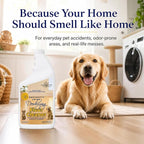 NOYATECH Pet Floor Cleaner Concentrate, Enzyme Urine Odor Remover, 32 oz
