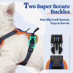 rabbitgoo Dog Harness, No Pull for Small Dogs with 2 Leash Clips, Pet Vest | No Choke with Handle, Adjustable Soft Padded, Reflective, Easy Control for Walking, Blue & Orange, X-Small