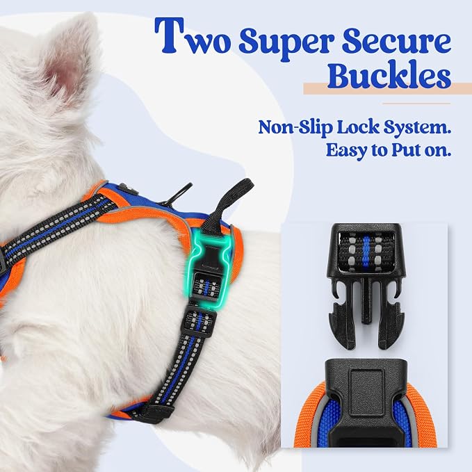 rabbitgoo Dog Harness, No Pull for Small Dogs with 2 Leash Clips, Pet Vest | No Choke with Handle, Adjustable Soft Padded, Reflective, Easy Control for Walking, Blue & Orange, X-Small
