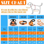 LOBEVE No Pull Dog Harness, Collar & Leash Set | Includes Dog Seat Belt, Collapsible Bowls & Poop Bag Dispenser. Ideal for Training, Walking, Hiking. Fits Small to Large Dogs(Orange-XL)