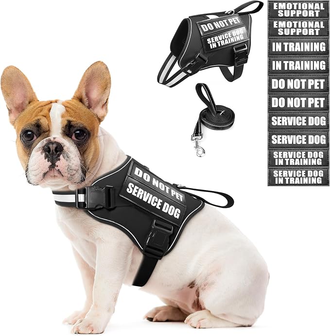 Service Dog Vest Harness and Leash Set+10 Patches,No Pull&Easy Walk Reflective Dog Harness with Soft Padded Handle for Training/Everyday,Fit Small/Medium/Large/Extra-Large Dogs (Black S) | No Pull&Adjustable Reflective Dog Harness Small Sized,Dog Leash...