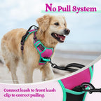 rabbitgoo Dog Harness, No Pull for Small Dogs with 2 Leash Clips, Pet Vest | No Choke with Handle, Adjustable Soft Padded, Reflective, Easy Control for Walking, Hot Pink & Turquoise, Small