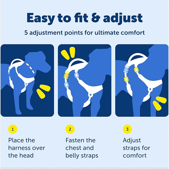 PetSafe Easy Walk Comfort No Pull Dog Harness, Blue, Small | Stops Pulling on First Use with Front Martingale Loop, Full-Body Padding, 5-Point Adjustable Fit