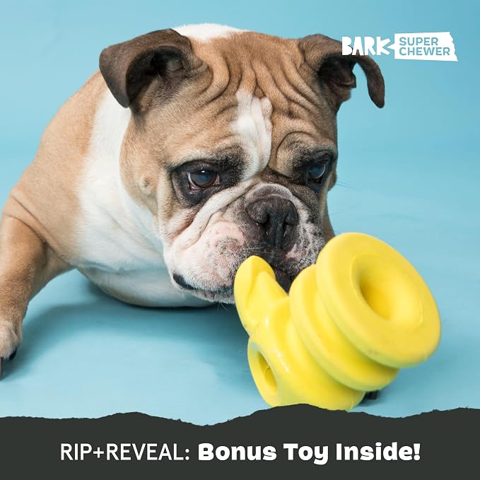 Barkbox Super Chewer Tough Dog Chew Toys for Aggressive Chewers, Plush 2 Toys in 1 (Parrot - Large) | Durable Dog Toy for Aggressive Chewers - Plush