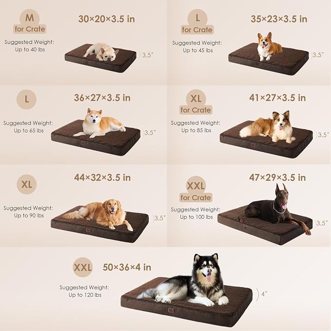 EHEYCIGA Orthopedic Dog Bed Large with Removable Washable Cover,Brown,36x27 | Egg Crate Foam Support,Durable Oxford fabric,Non-Slip Bottom,Machine Washable,Soft Waterproof Plush Pet Bed Mat For Crate