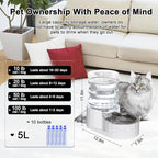 RIZZARI 5L Gravity Cat Water Dispenser: Filtered for Small Pets | Reduced Refills / Stainless Steel Bowl / Anti Splash Base /BPA-Free Materials/ Easy Cleaning / Kitchen Living Room Use